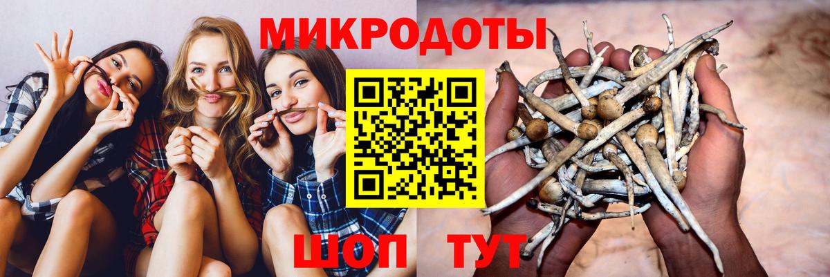Галлюциногенные грибы GOLDEN TEACHER  Вход с VPN  Галлюциногенные грибы Psilocybe  Бугуруслан 