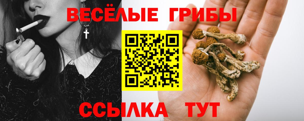 Псилоцибиновые грибы Magic Shrooms Бугуруслан